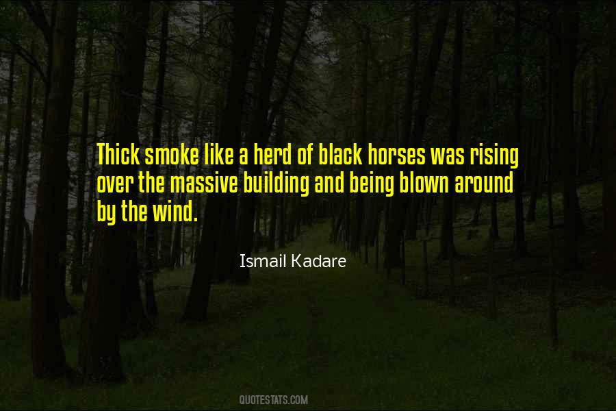 Ismail Kadare Quotes #50471