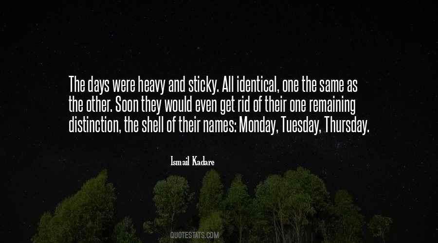 Ismail Kadare Quotes #669300