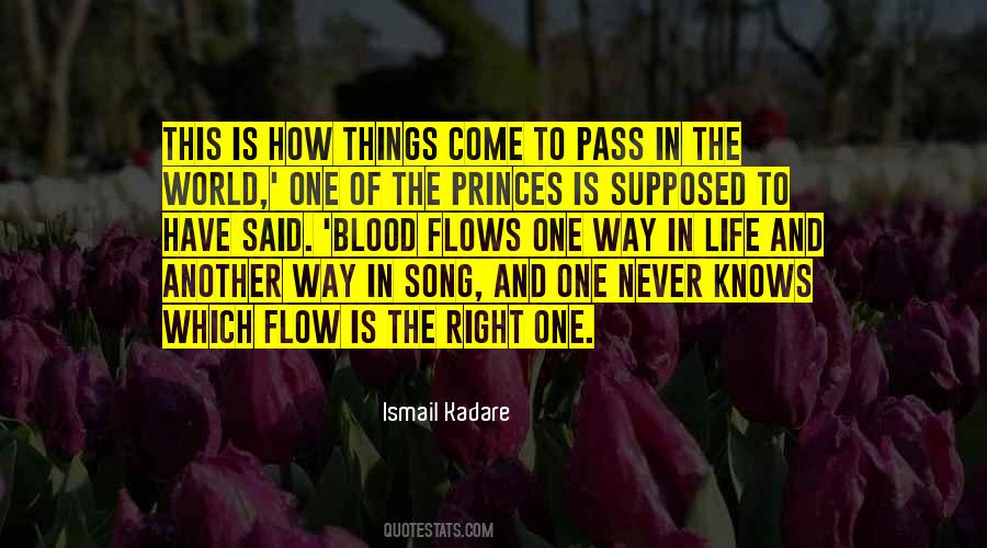 Ismail Kadare Quotes #730501