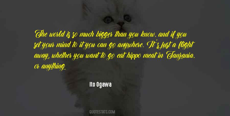 Ito Ogawa Quotes #1603825