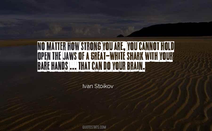 Ivan Stoikov Quotes #1660114