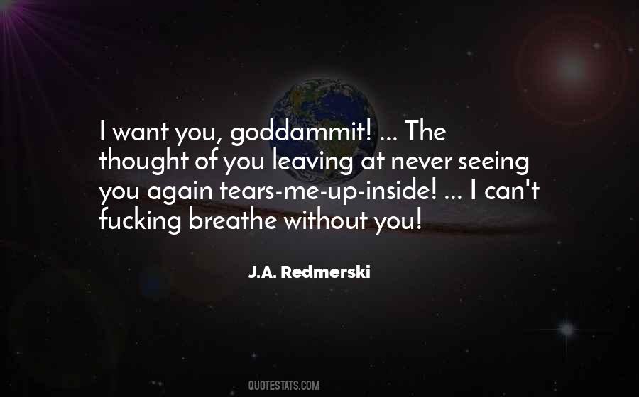 J.A. Redmerski Quotes #1270845