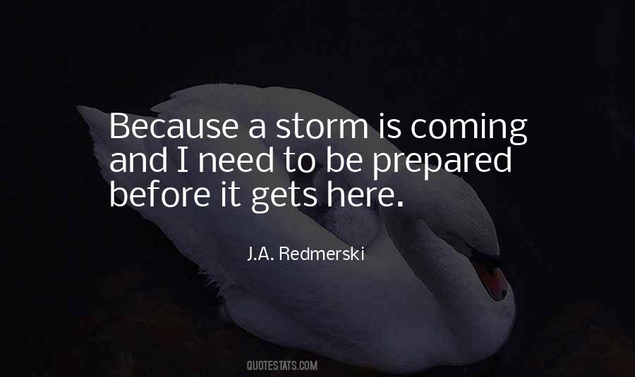 J.A. Redmerski Quotes #439817