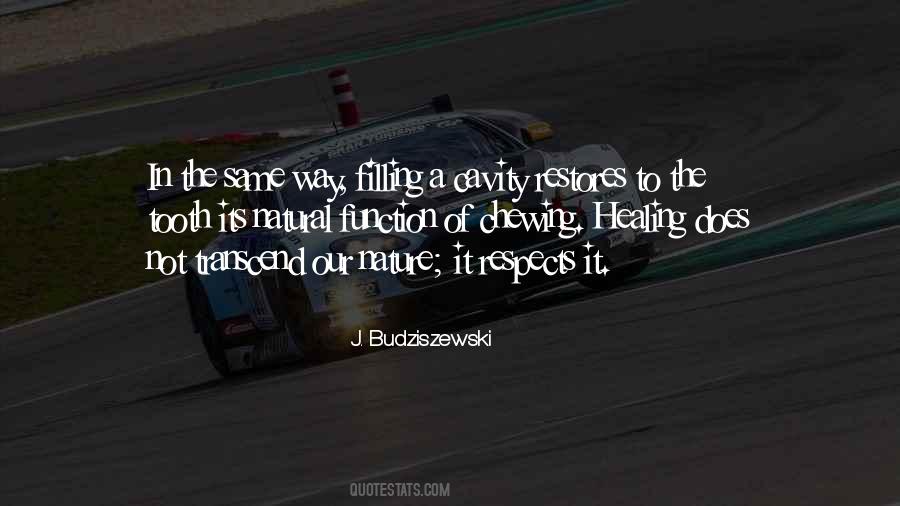 J. Budziszewski Quotes #1787813