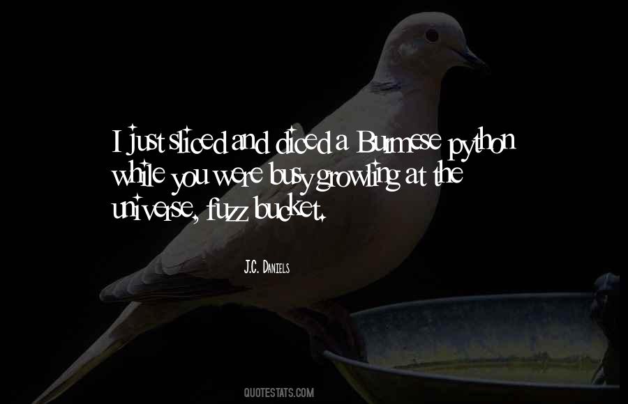 J.C. Daniels Quotes #92875