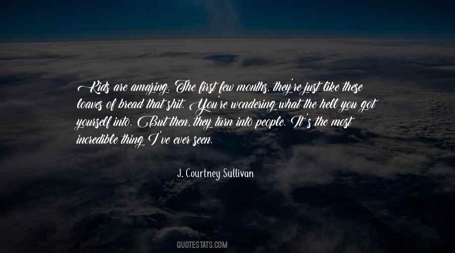 J. Courtney Sullivan Quotes #1171900