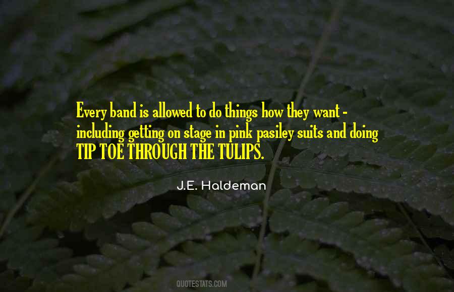 J.E. Haldeman Quotes #172308