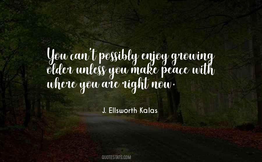 J. Ellsworth Kalas Quotes #461942 J. Ellsworth Kalas Quotes #461942
