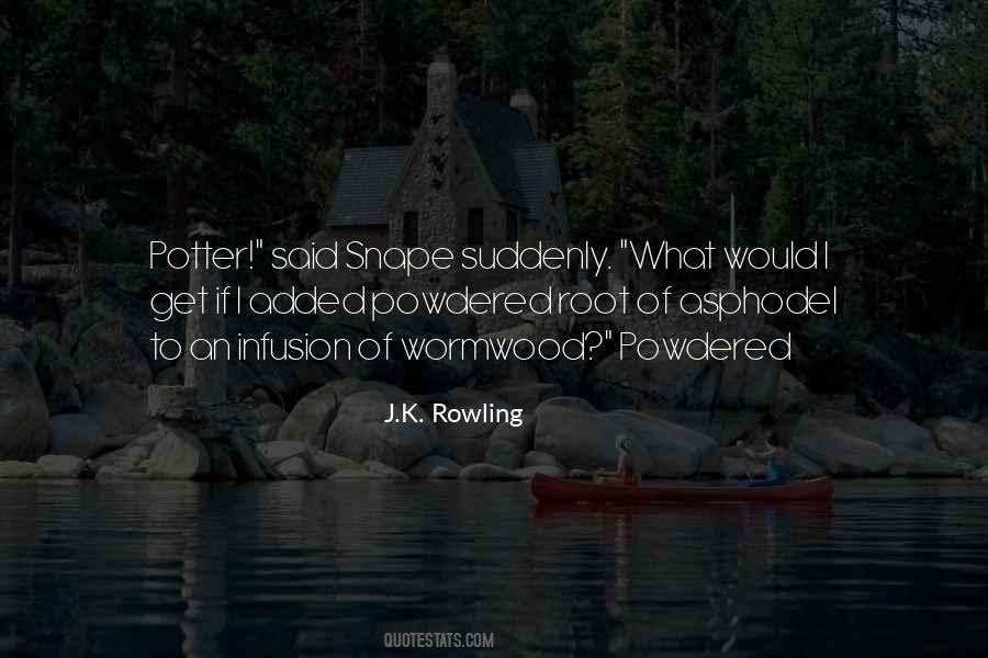 J.K. Rowling Quotes #1055153