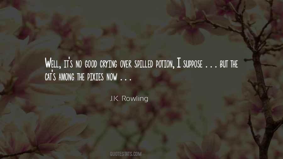 J.K. Rowling Quotes #1390449