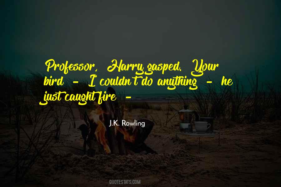 J.K. Rowling Quotes #922228