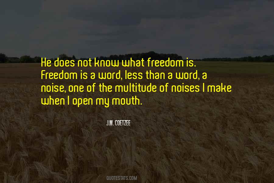 J.M. Coetzee Quotes #1668393