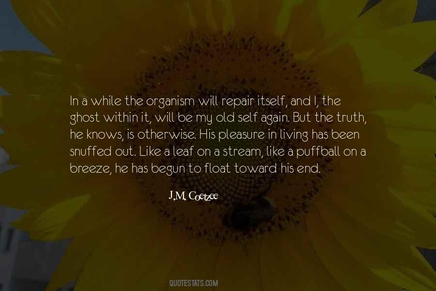 J.M. Coetzee Quotes #966890