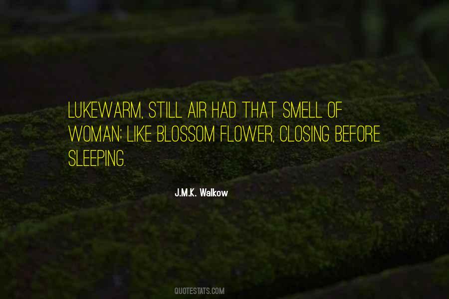 J.M.K. Walkow Quotes #1226757