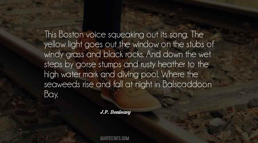 J.P. Donleavy Quotes #630912