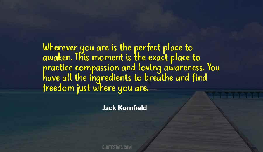 Jack Kornfield Quotes #873899