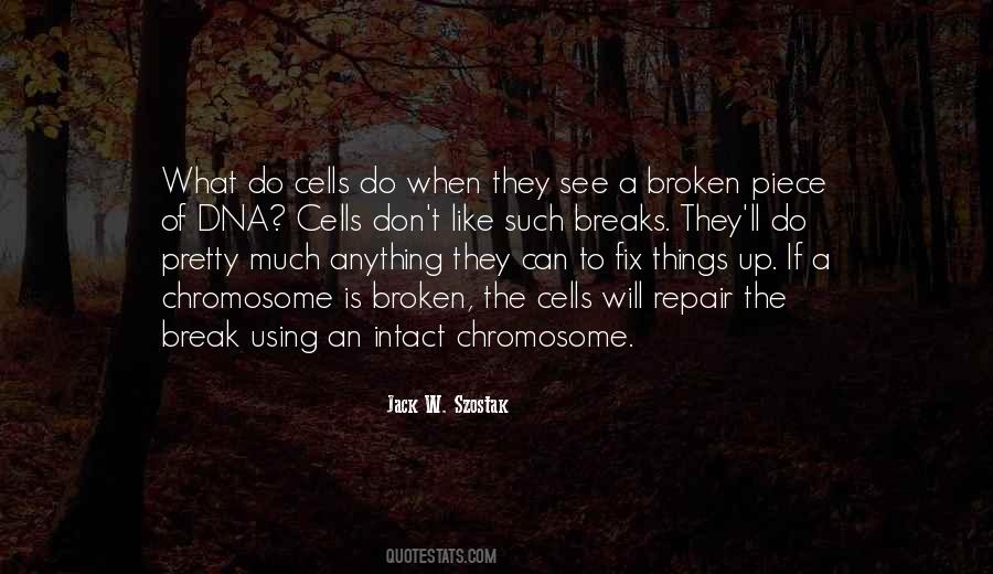 Jack W. Szostak Quotes #315261