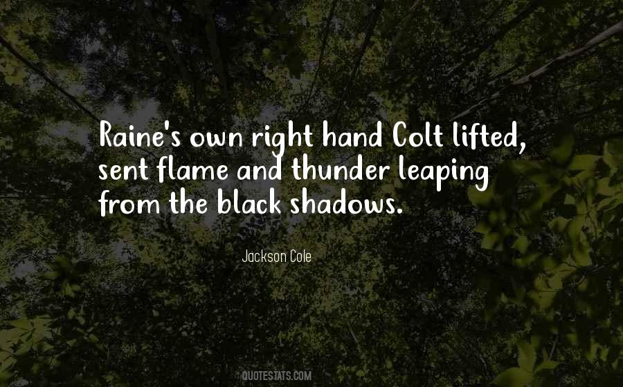 Jackson Cole Quotes #711878