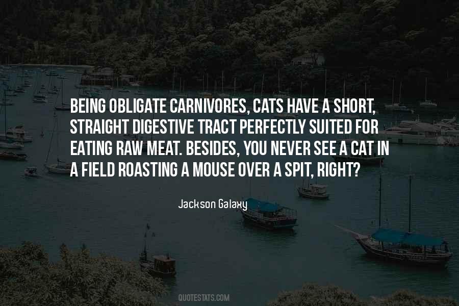 Jackson Galaxy Quotes #688004