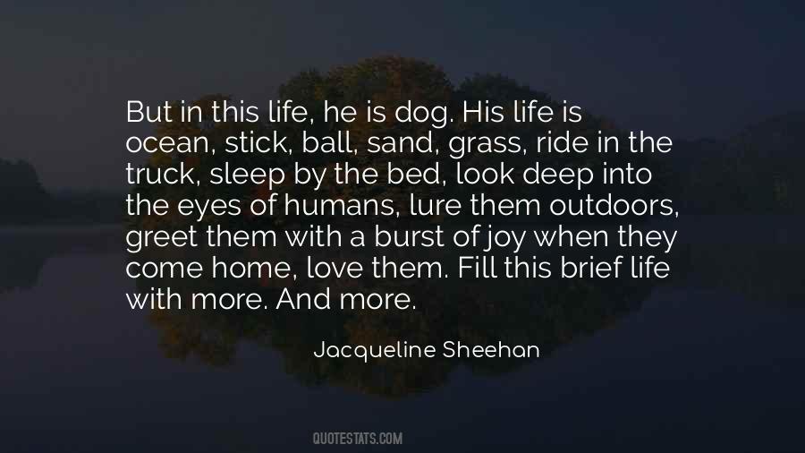 Jacqueline Sheehan Quotes #1362425