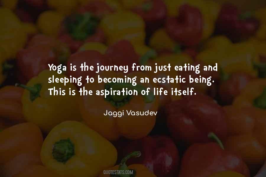 Jaggi Vasudev Quotes #296487