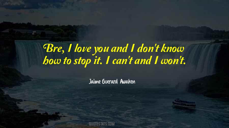 Jaime Guerard Awaken Quotes #478020