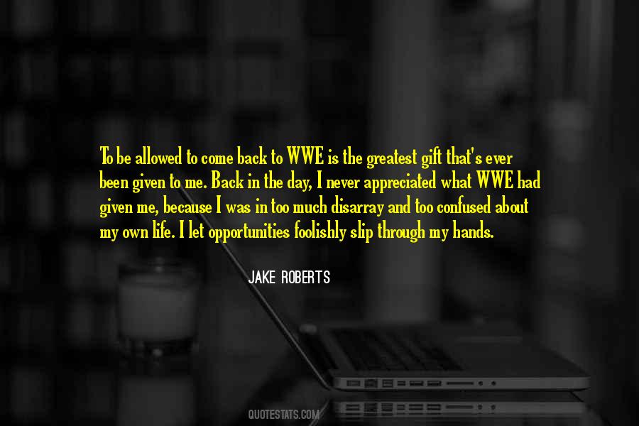 Jake Roberts Quotes #1601707
