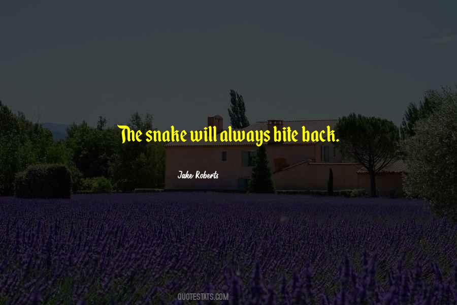 Jake Roberts Quotes #387629