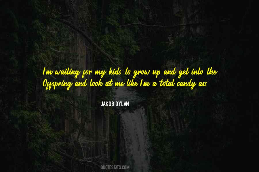 Jakob Dylan Quotes #826717