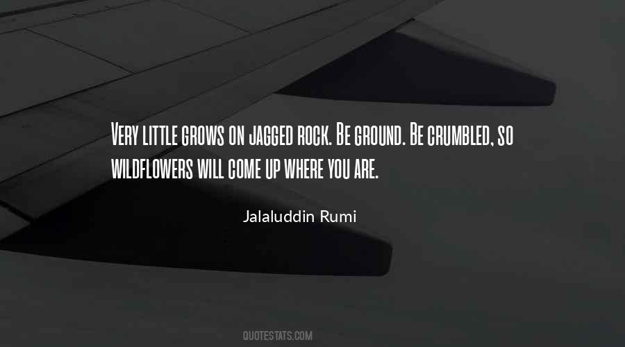 Jalaluddin Rumi Quotes #1097366