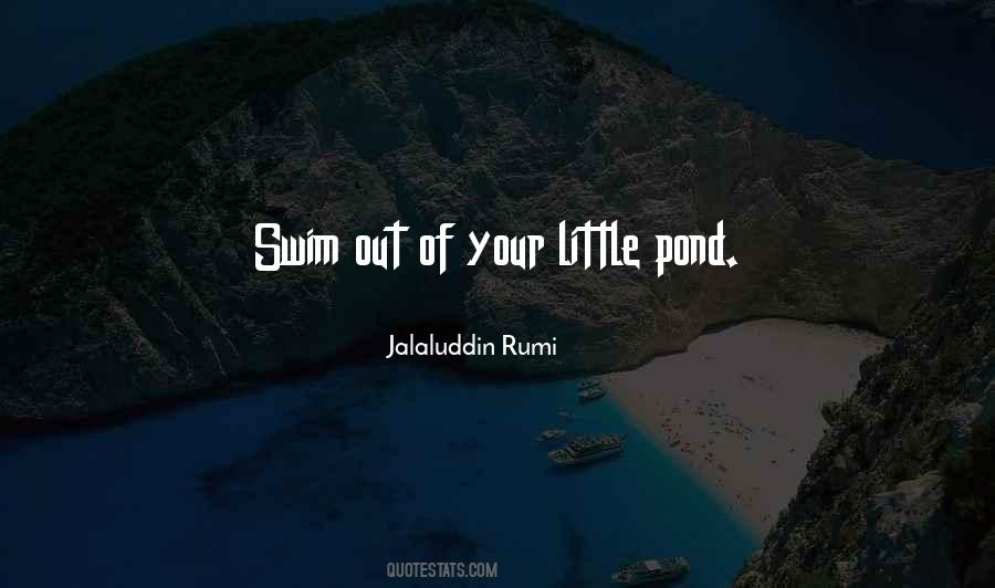 Jalaluddin Rumi Quotes #418706