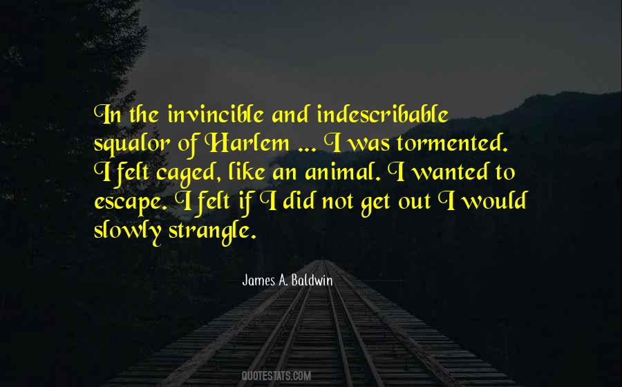 James A. Baldwin Quotes #1323594