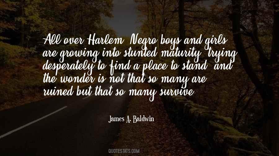 James A. Baldwin Quotes #1443009