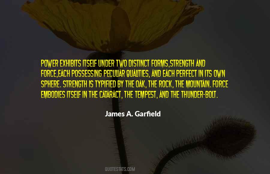 James A. Garfield Quotes #1475636