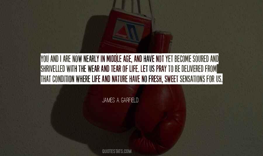 James A. Garfield Quotes #1765245