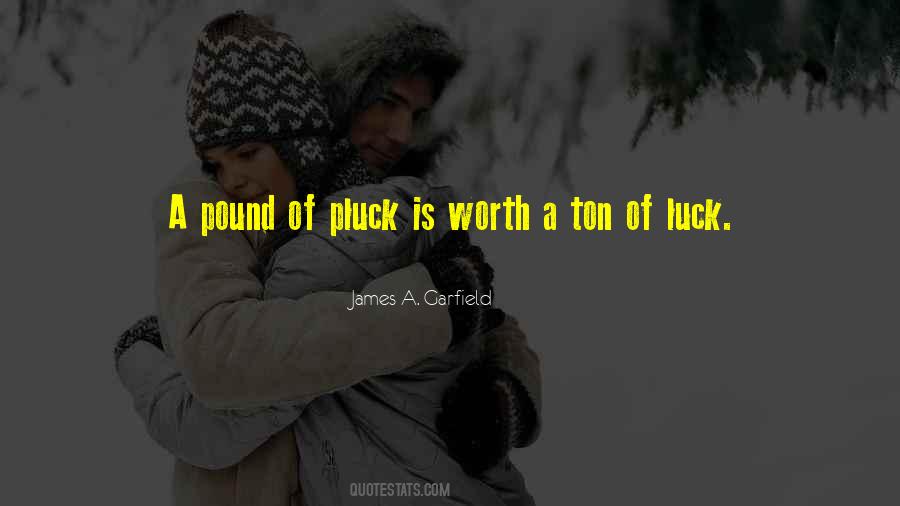 James A. Garfield Quotes #381500