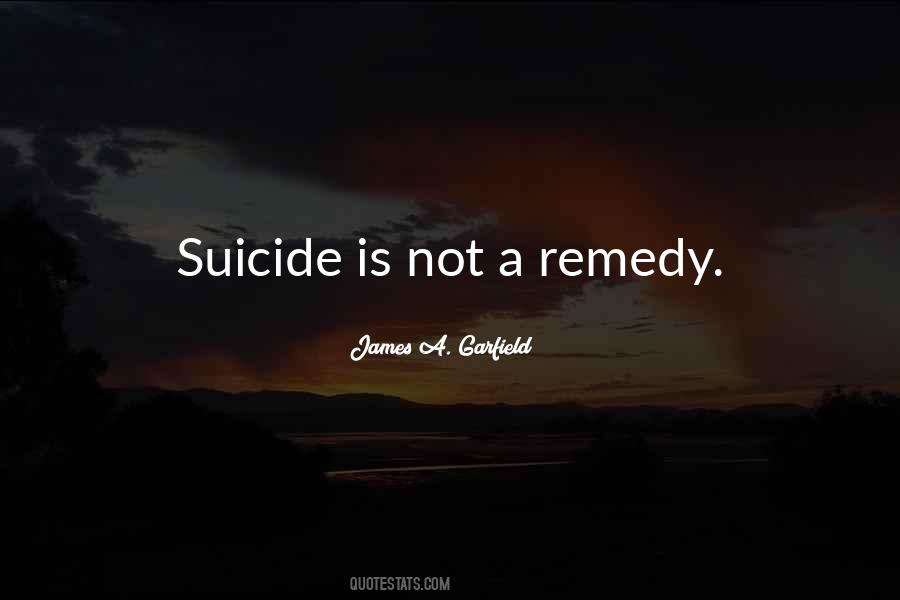 James A. Garfield Quotes #550097