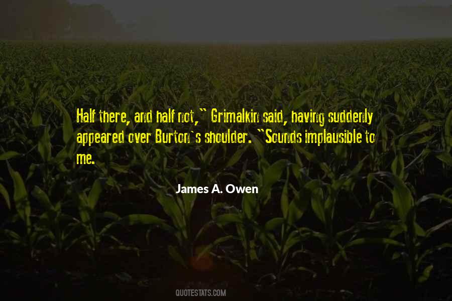 James A. Owen Quotes #328773