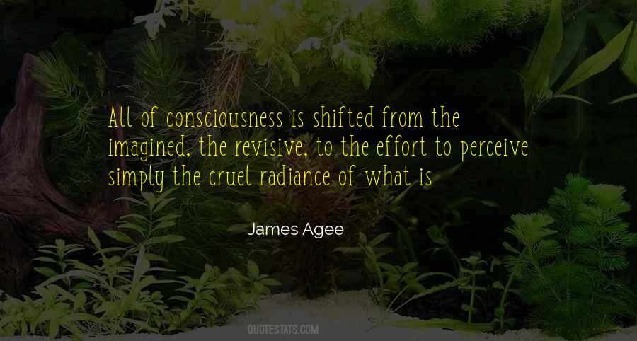 James Agee Quotes #285232