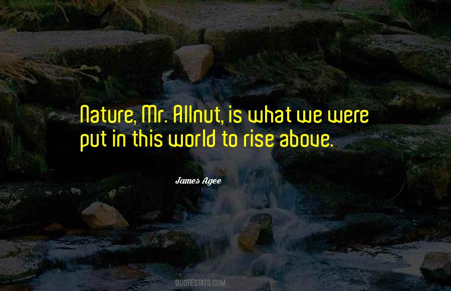 James Agee Quotes #620354
