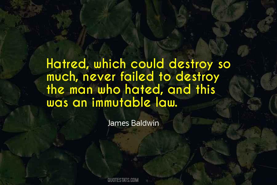 James Baldwin Quotes #1110338