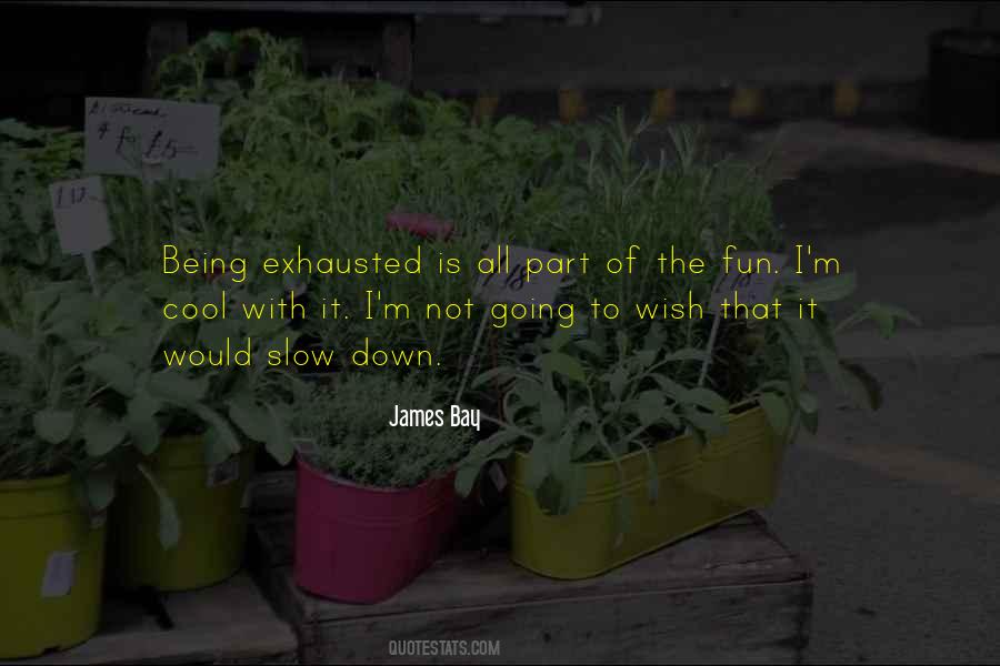 James Bay Quotes #1678158