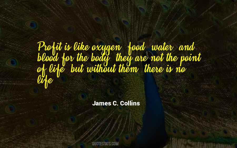 James C. Collins Quotes #854690