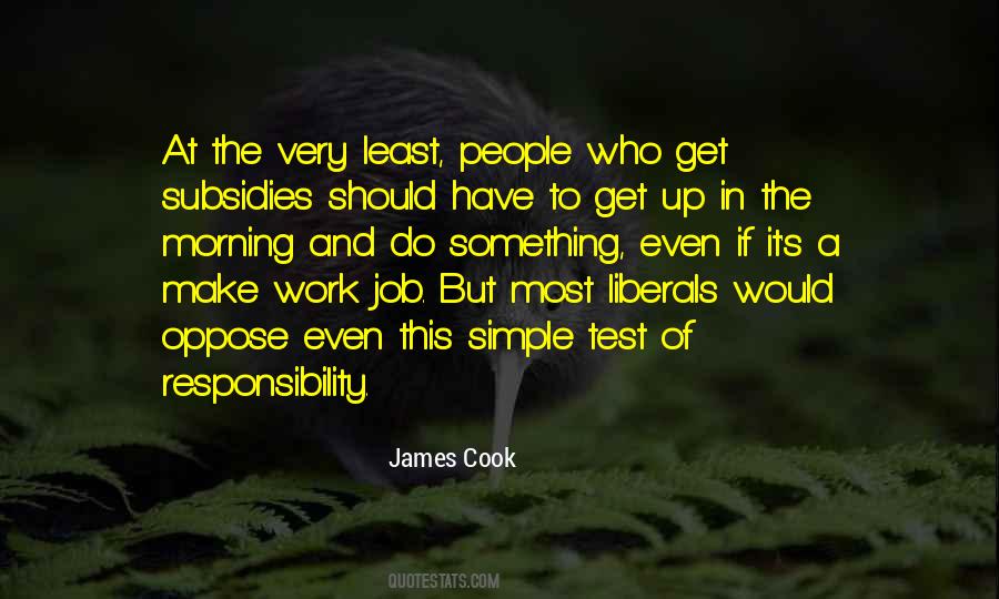 James Cook Quotes #1280895