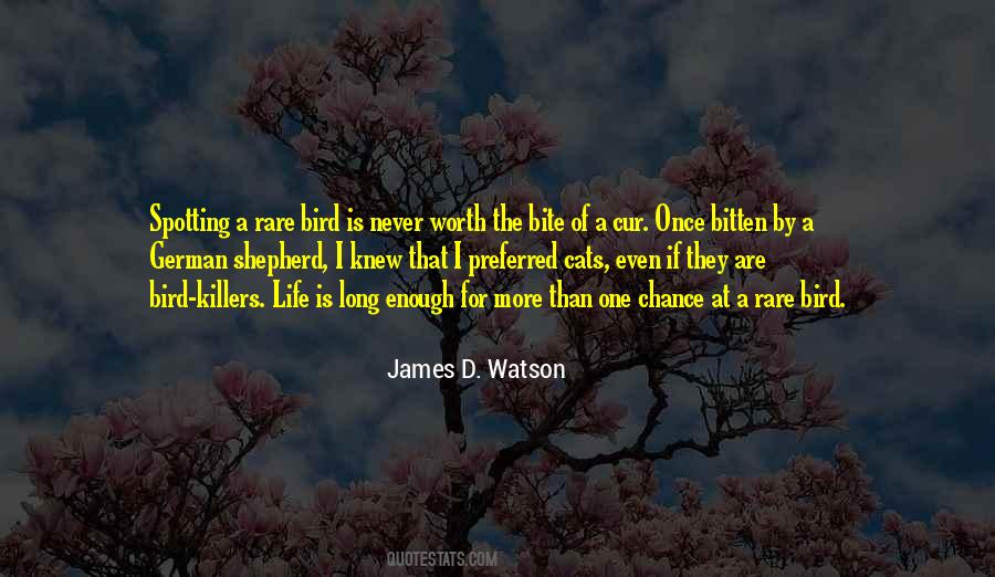James D. Watson Quotes #1187128