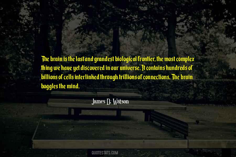 James D. Watson Quotes #1838008