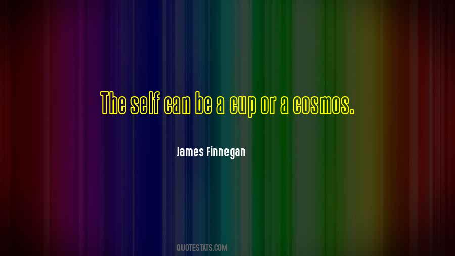 James Finnegan Quotes #1542495