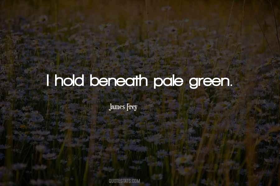 James Frey Quotes #1008757