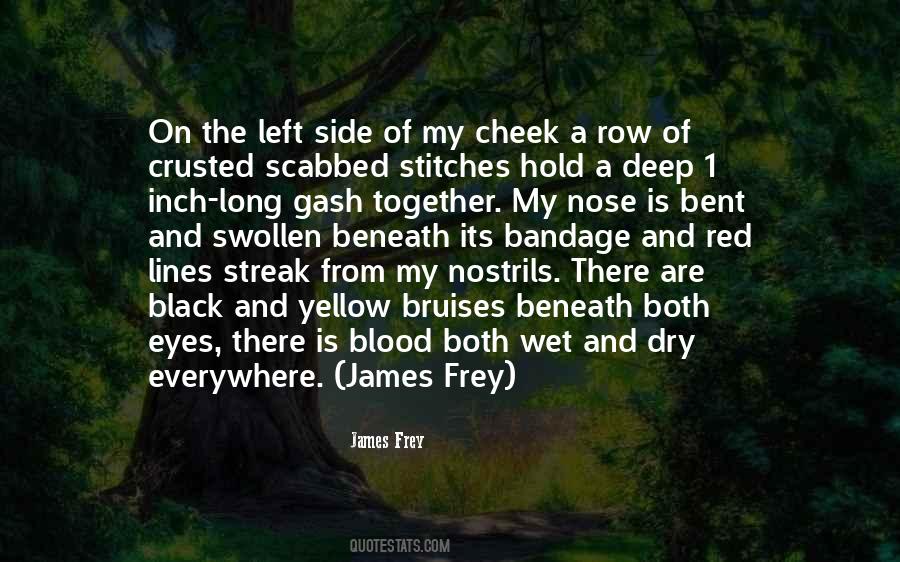 James Frey Quotes #1496783