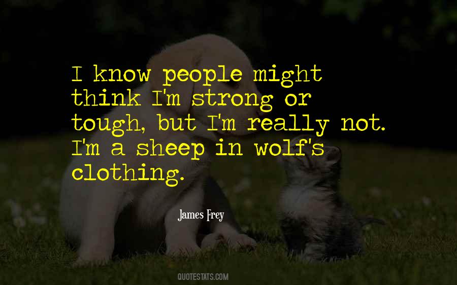 James Frey Quotes #1583622